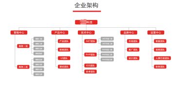 美浮特代理進貨系統 現成系統搭建與一站式商務代理代辦服務詳解